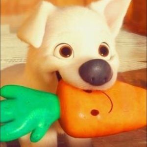 Meet your Posher, Jenna